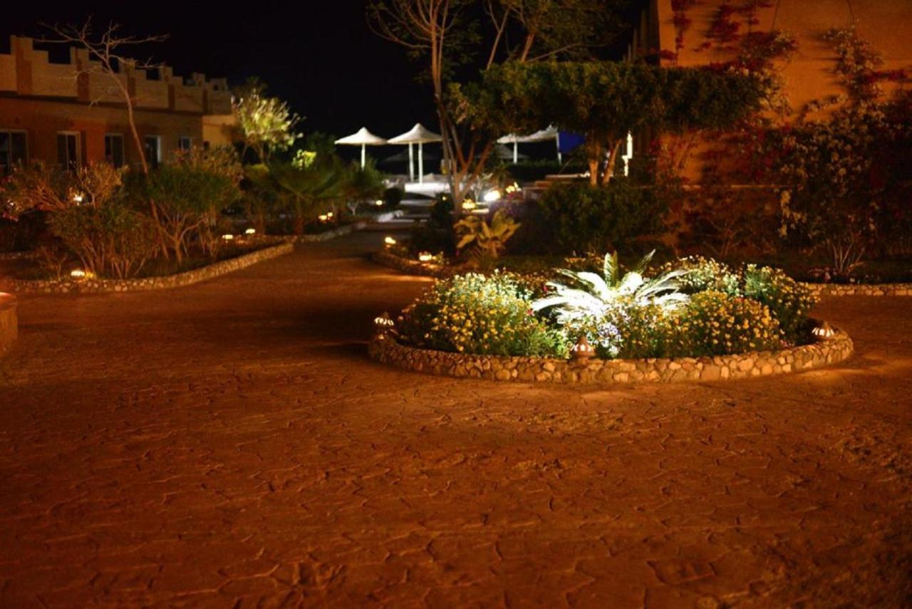 Silver Beach Boutique Hotel (Adults Only) El Qoseir 외부 사진