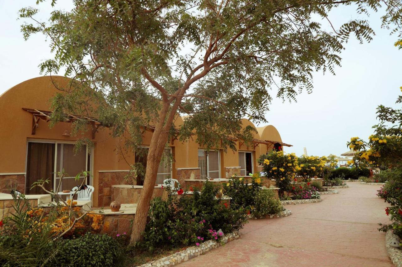 Silver Beach Boutique Hotel (Adults Only) El Qoseir 외부 사진
