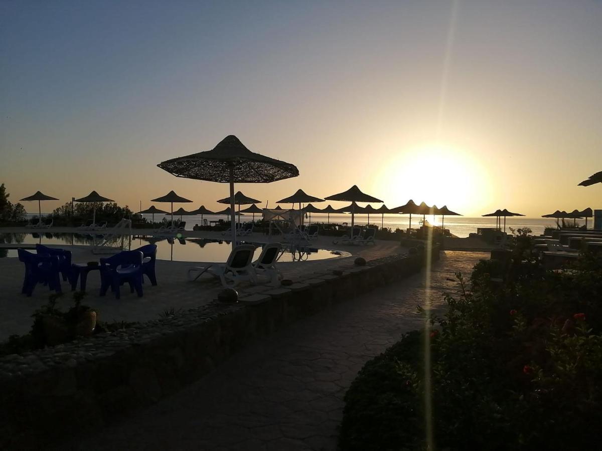 Silver Beach Boutique Hotel (Adults Only) El Qoseir 외부 사진