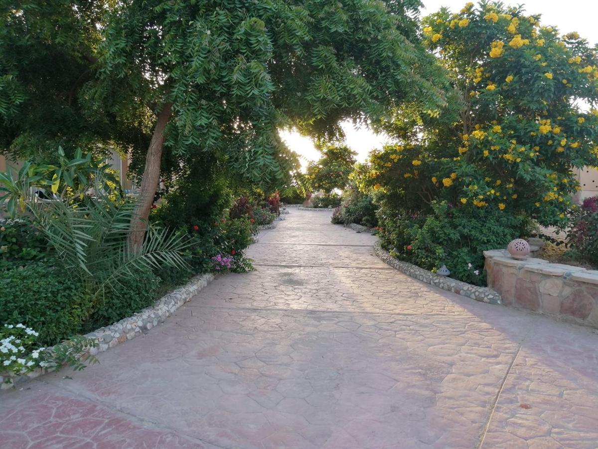 Silver Beach Boutique Hotel (Adults Only) El Qoseir 외부 사진