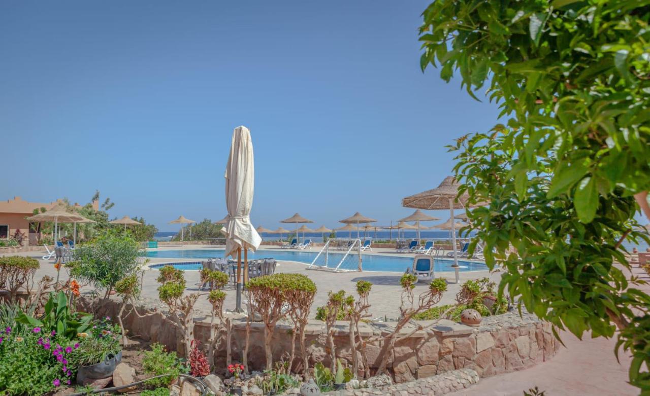Silver Beach Boutique Hotel (Adults Only) El Qoseir 외부 사진