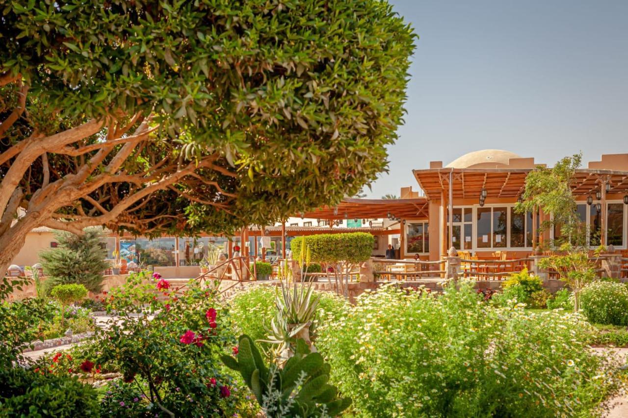 Silver Beach Boutique Hotel (Adults Only) El Qoseir 외부 사진
