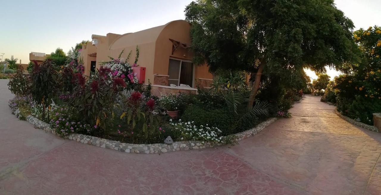 Silver Beach Boutique Hotel (Adults Only) El Qoseir 외부 사진