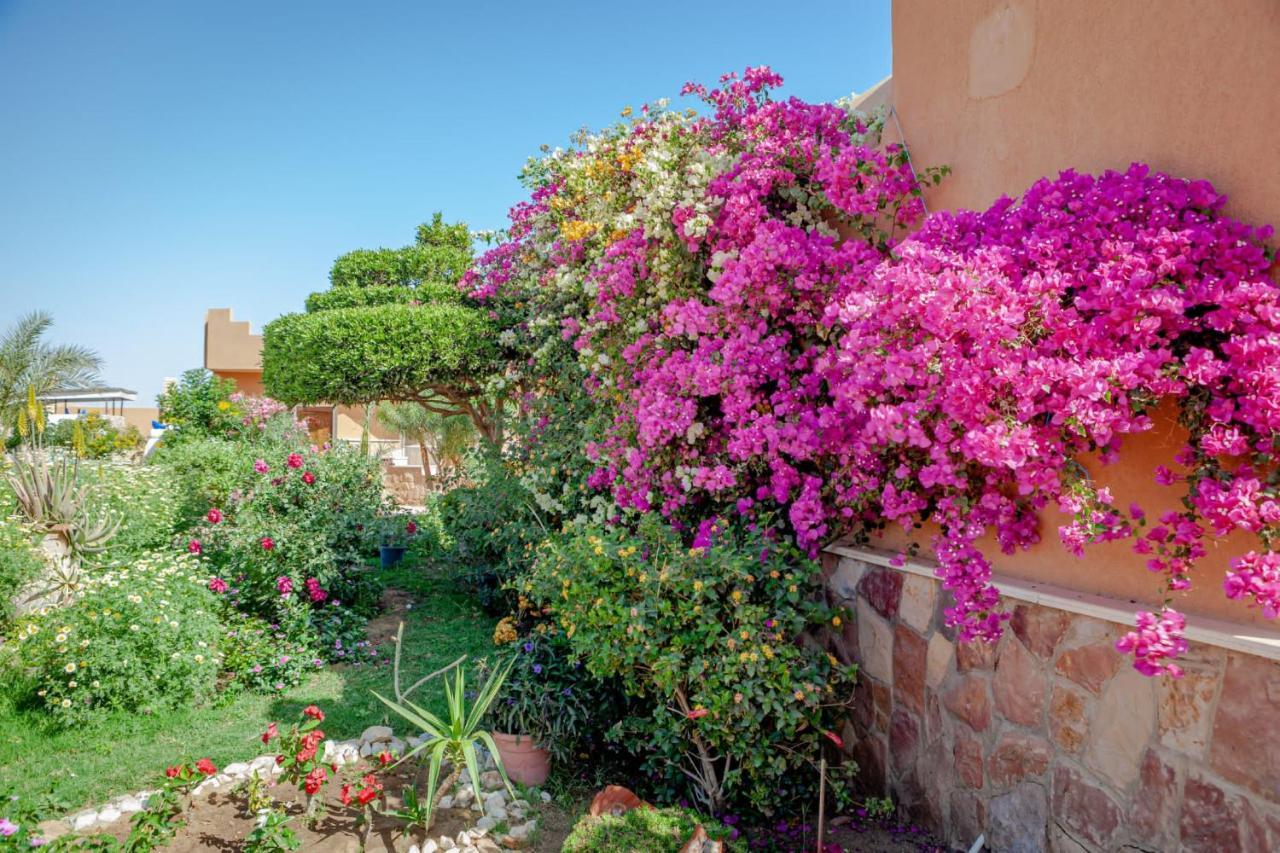 Silver Beach Boutique Hotel (Adults Only) El Qoseir 외부 사진